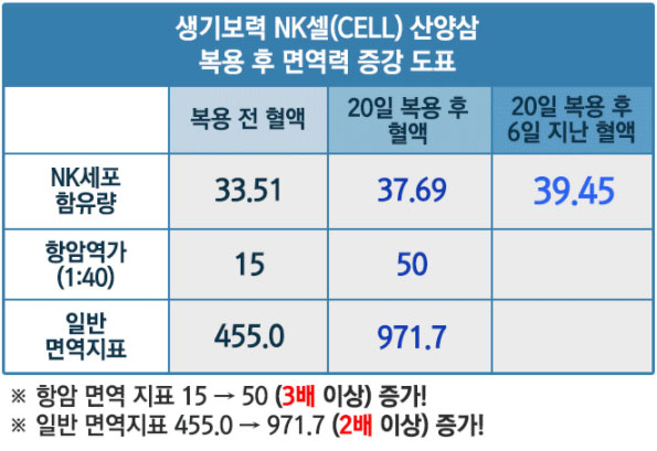 생기보력 이미지