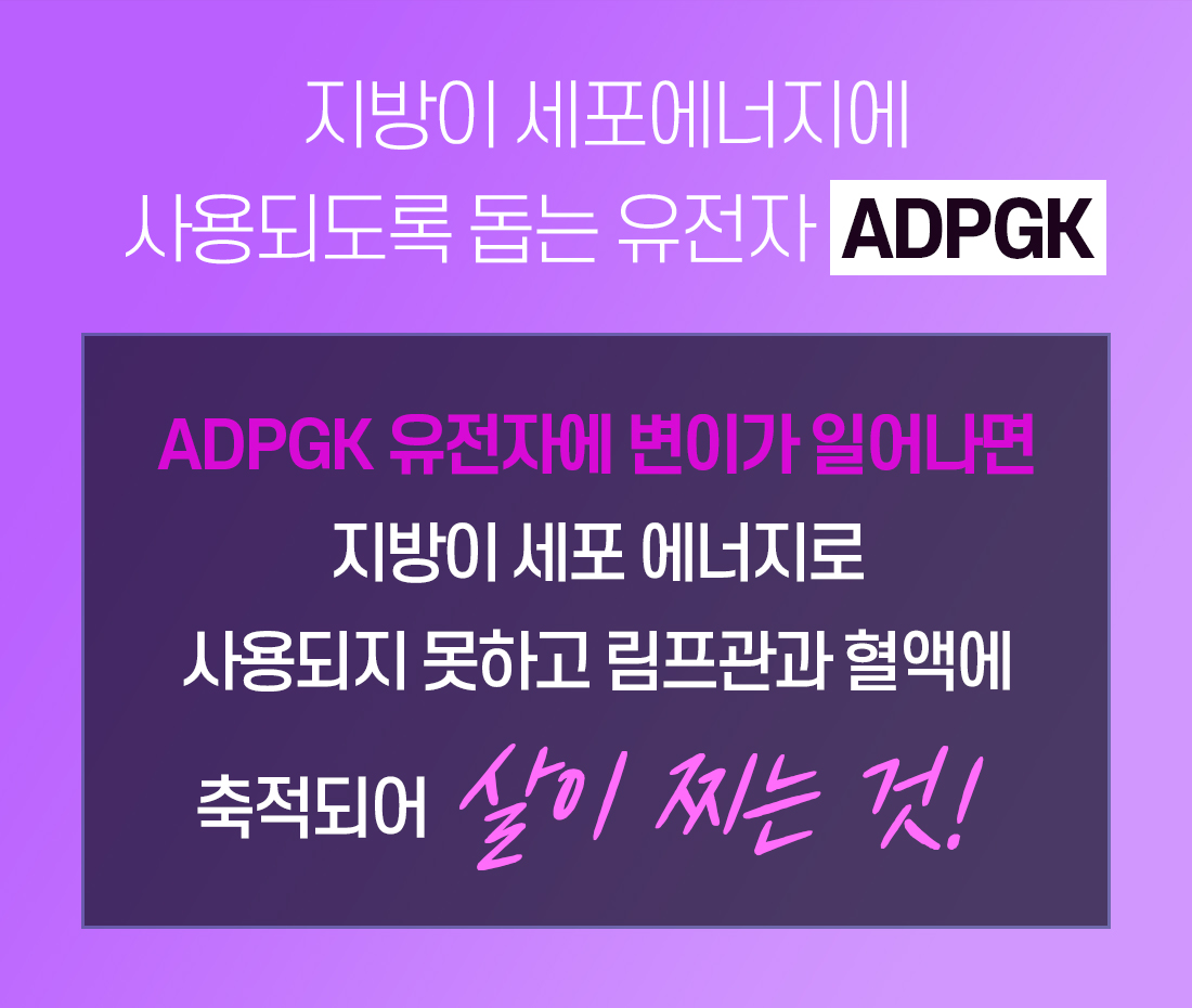 슬라이드